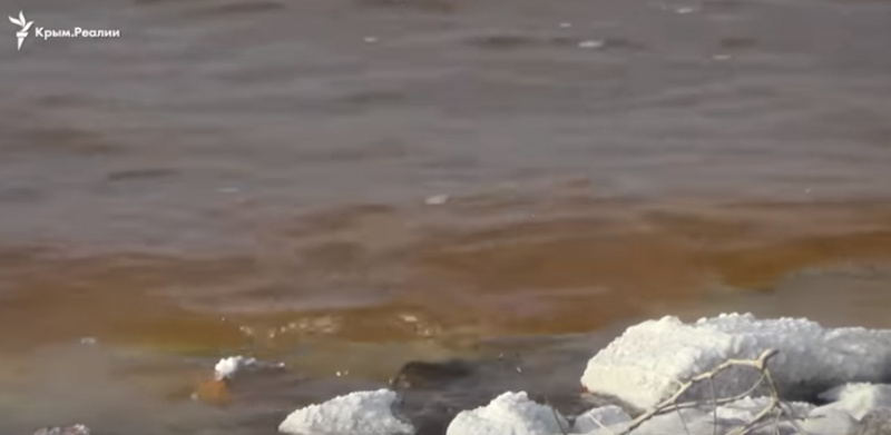 На збори дали годину: мешканка окупованого Армянська розповіла, як евакуювали дітей